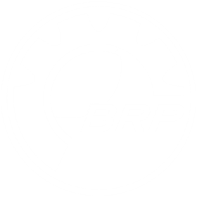 Print Design: Pantone Brochure