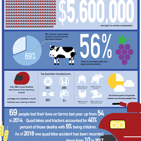 Print Design: Infographic Poster